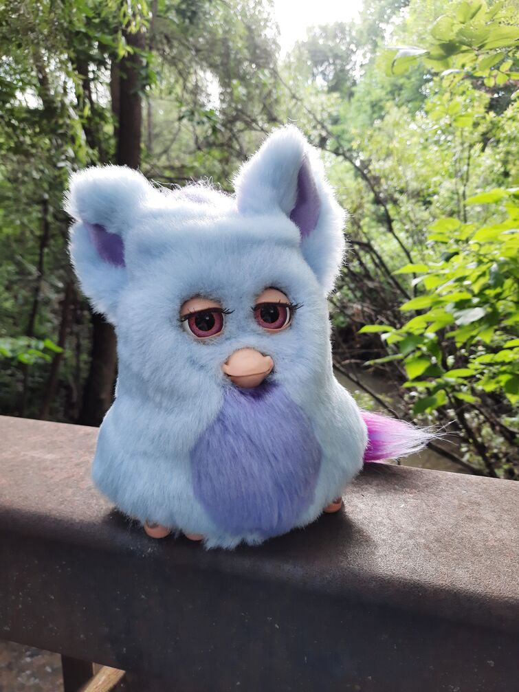 Fandom Image