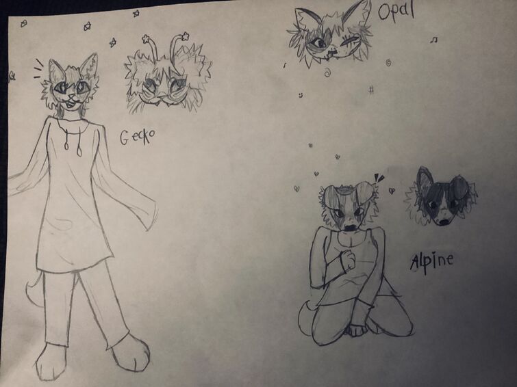 Fandom Image