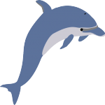 Dolphin Bluex
