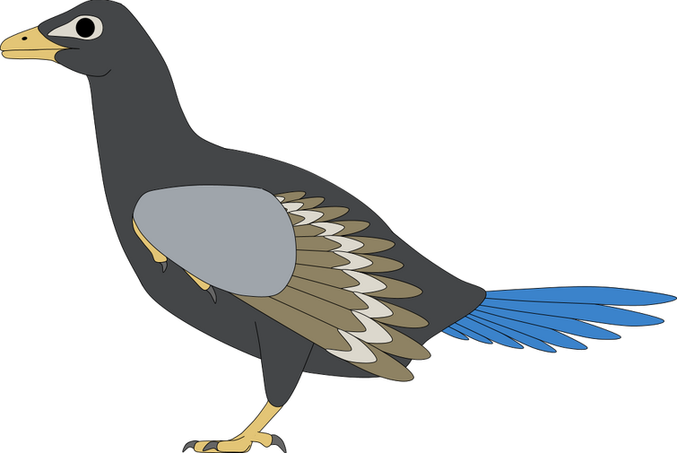 Fandom Image