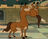 Caseythereader's avatar