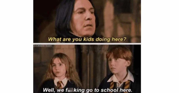 #harrypottermeme