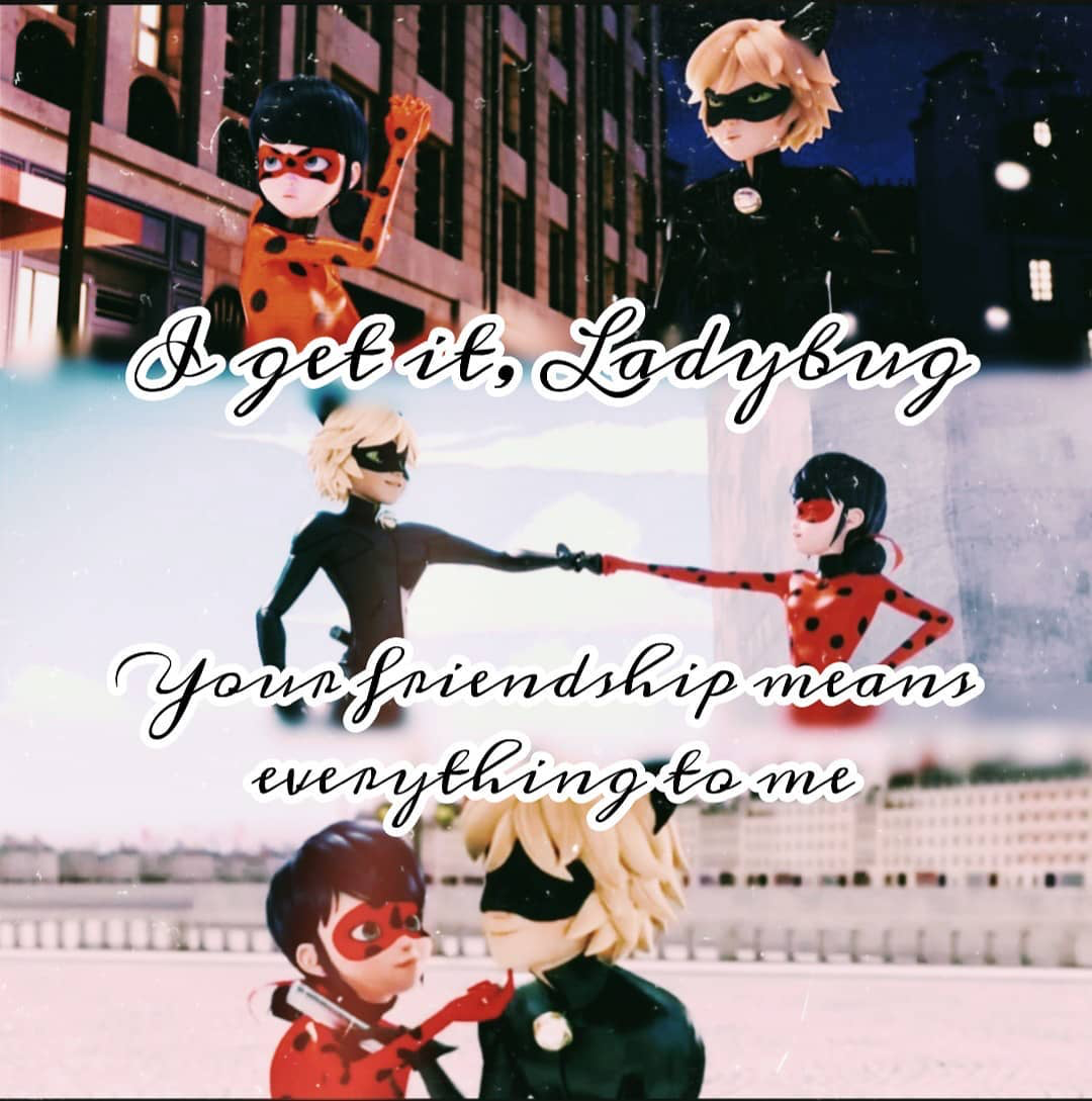 Ladynoir Quote of the day | Fandom
