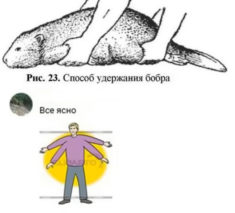Как правильно снимать бобра