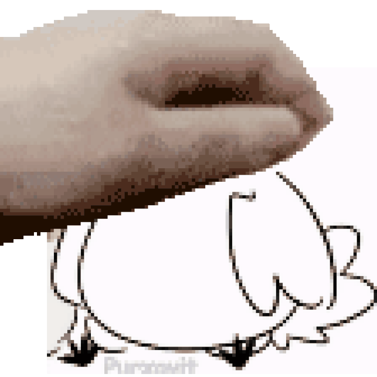 What is that website where you can edit a gif so it can be your pfp