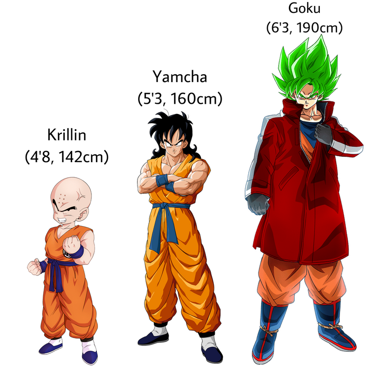 Krillin vs Yamcha vs Goku Height Comparison Fandom