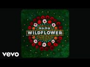 5 Seconds of Summer - Wildflower (Lyric Video)
