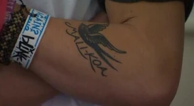 Flying bird with MALI-KOA written under