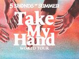 Take My Hand World Tour