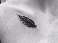 Feather