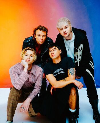 5 Seconds of Summer | 5 Seconds of Summer Wiki | Fandom