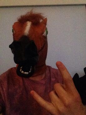 Rodney the Horse