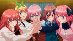 The Quintessential Quintuplets Go-Toubun no Hanayome 5 Equal Brides Ichika  Nino Miku Yotsuba Itsuki Nakano