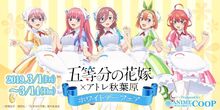 Gotoubun no Hanayome x Atre Akihabara White Day Fair