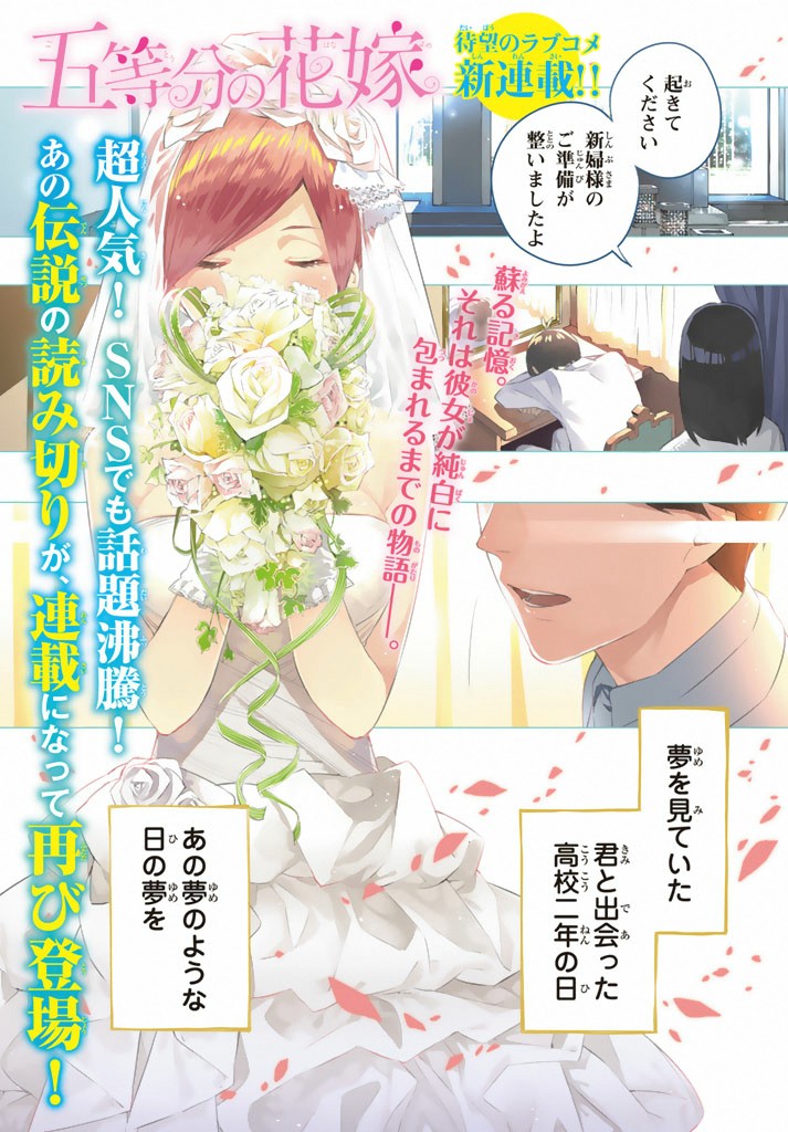 Art] Five bride sisters [5 Toubun no Hanayome] : r/manga