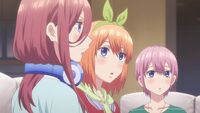 5TOUBUN NO HANAYOME  アニメのネコ, アニメキャラクター, ロマンスアニメ