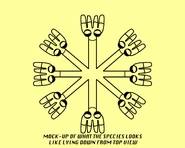 Top-View Mock-Up.png (204 KB) Original Concept 2