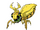 Ball Weevil