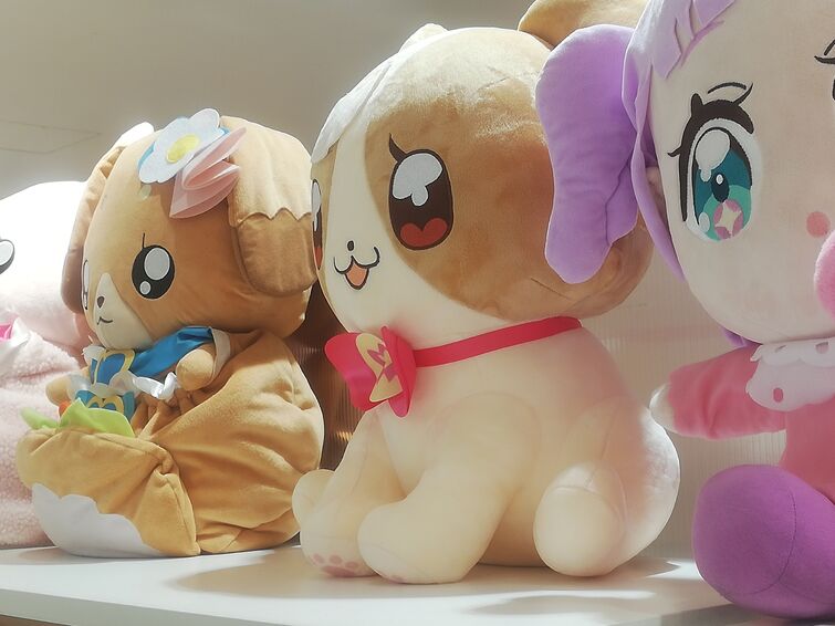 Fandom Image