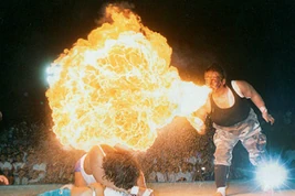 Episode 74 header Pogo3