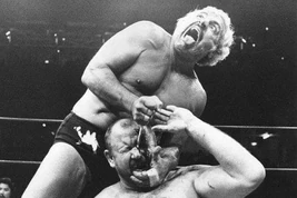 Episode 65 header sheik