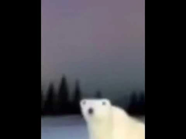 polar bear 2026 creature when | Fandom
