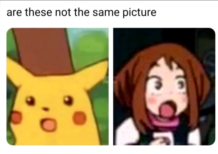 Memes Fandom