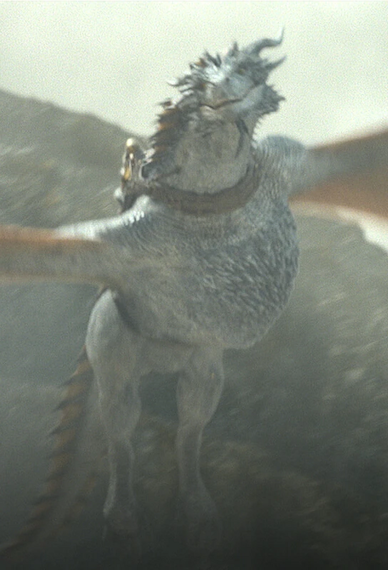 Silverwing in House of the Dragon Fandom
