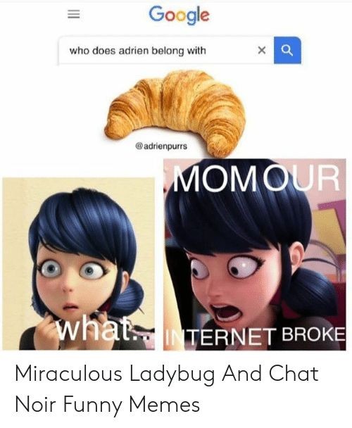 Miraculous Memes Roasts Day 2 Fandom