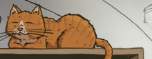67d2df085aa7787496dabffb7c95eace.png