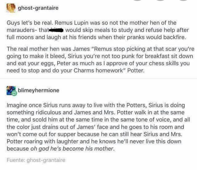 Marauder Headcanons to either make or break your day 😊 | Fandom