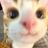 Myfavtwinkcardan's avatar