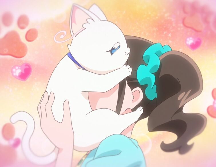 Fandom Image