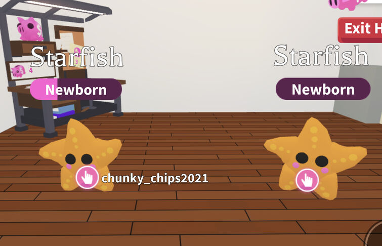 How To Get The FREE STAR FISH Pet In Adopt Me Roblox (Coming Soon!) 