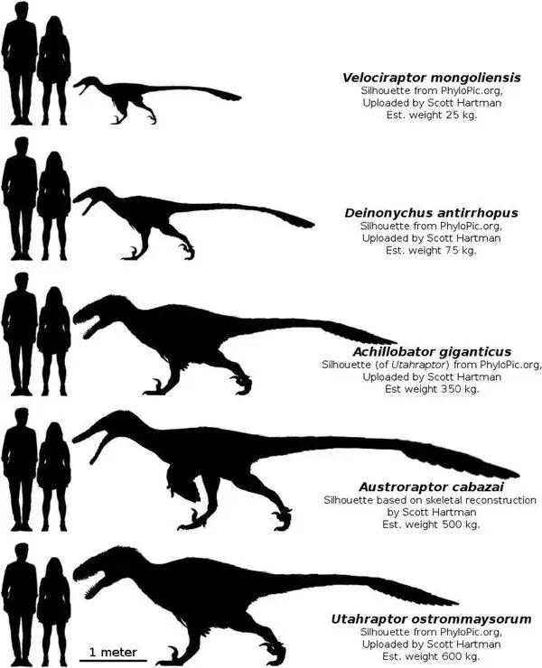 Which real life dinosaur is the most similar to the 