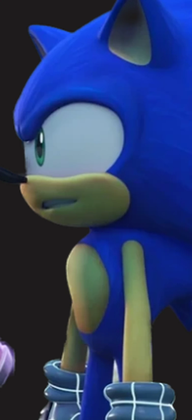 Sonic and ghost Amy rose (ghost of a chance) (no BG) Fandom