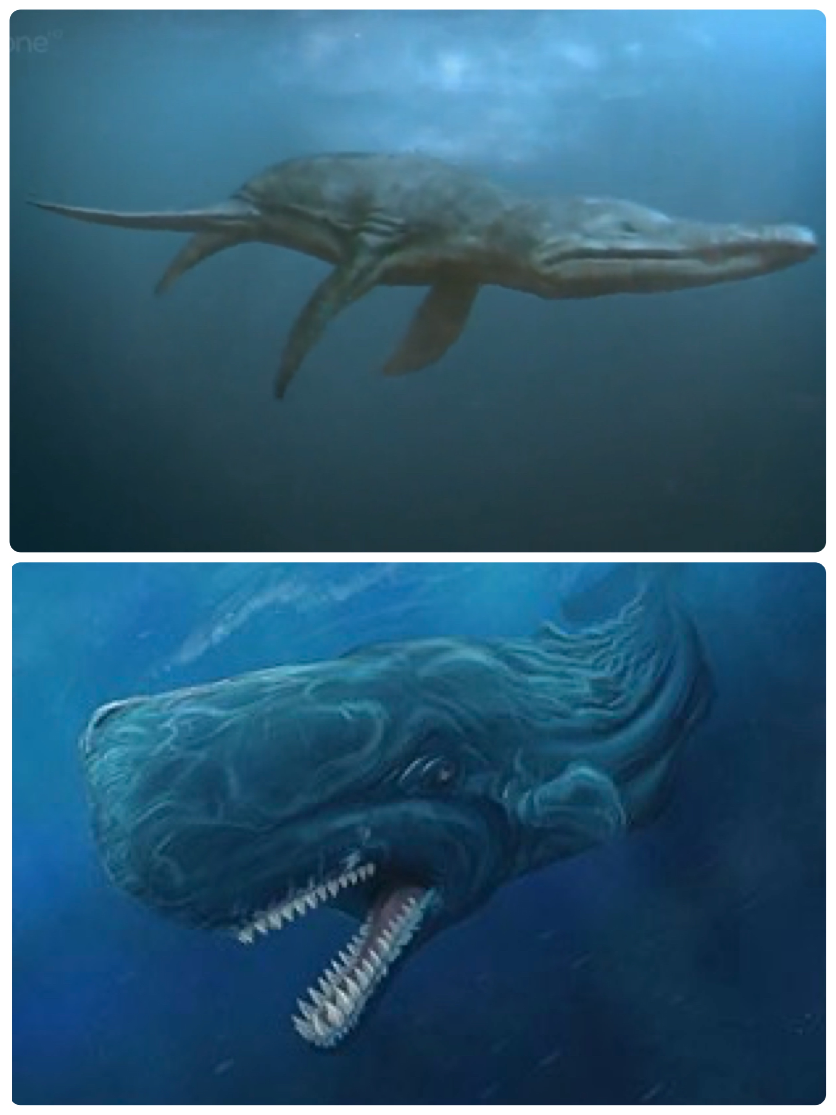 Livyatan vs Pliosaurus Macromerus Essay. | Fandom