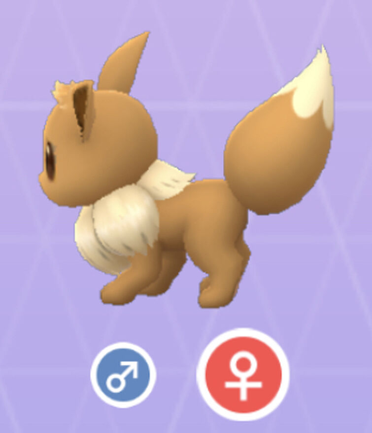 eevee tail