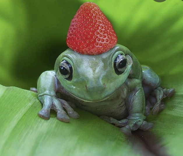 Drawing giveaway!! Fandom