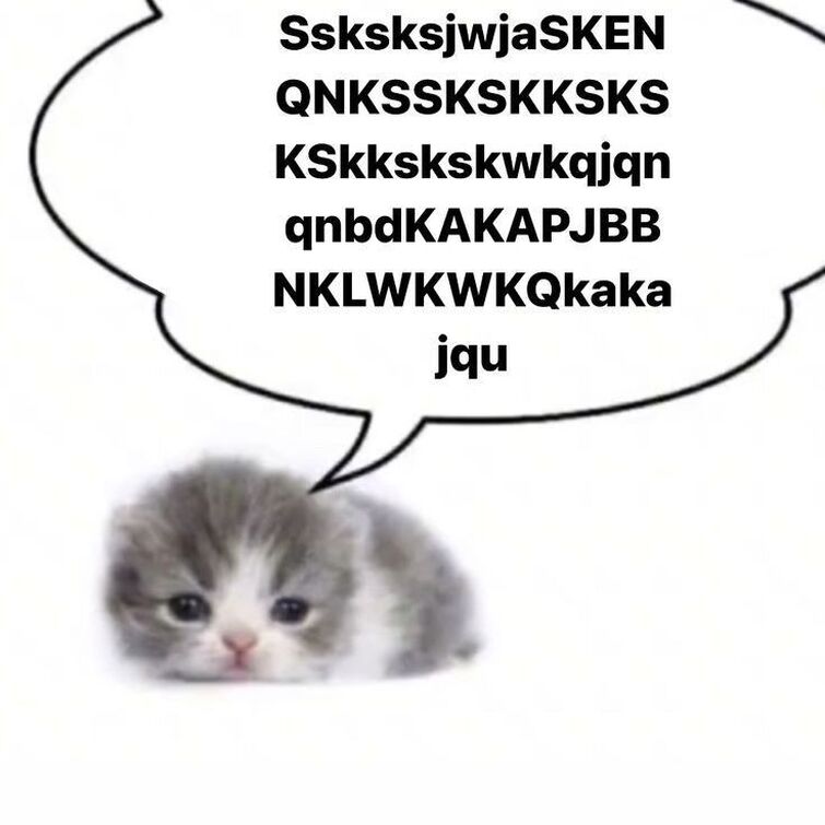 Какая мерзость я протрезвел мем с котом here’s your wife couch 