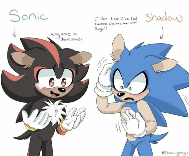 If Sonic and Shadow switched bodies... | Fandom