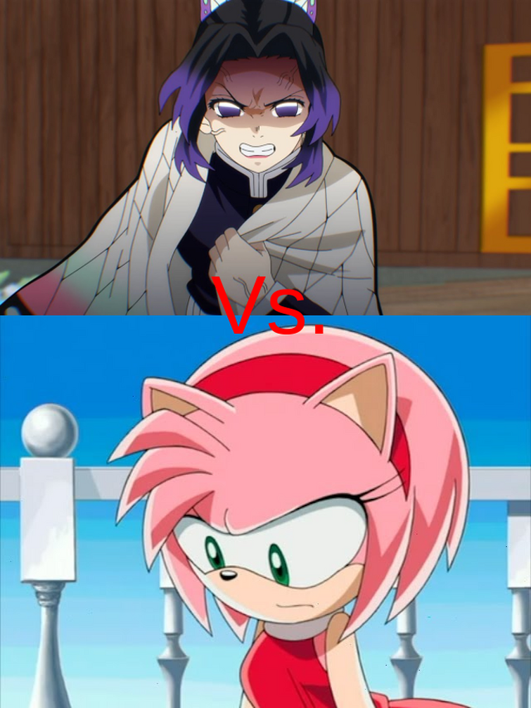 Sonic X Redraw Ep 1  Sonic the Hedgehog! Amino