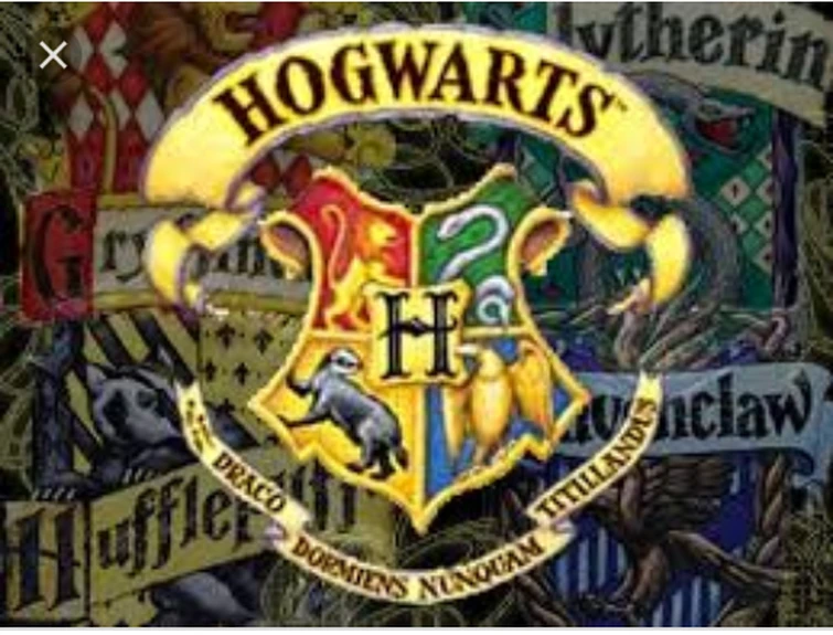 What is your hogwarts house myne is a slytherin