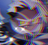 Timmy2034's avatar
