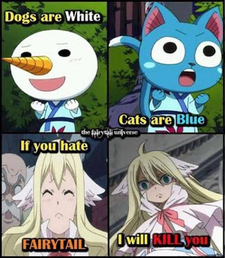 FAIRY TAIL MEMES 