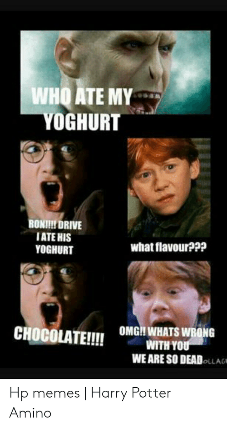 Voldemort Memes  Harry Potter Amino