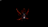 DracotheShark's avatar