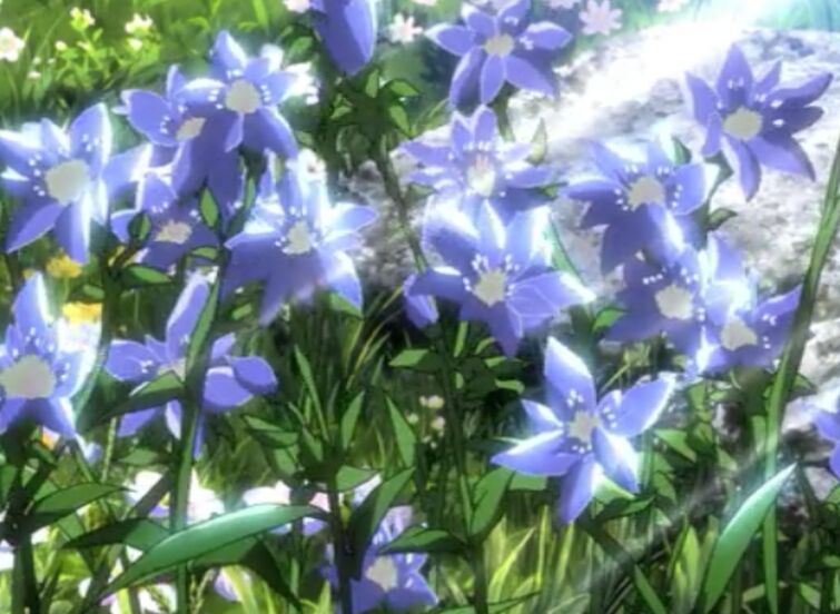 turnering Tilstand Sydamerika AOT Blue Flowers | Fandom