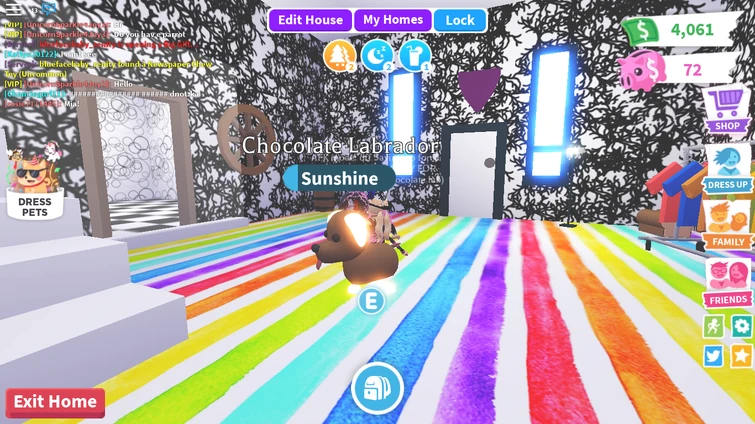 What Should I Name My Neon Chocolate Lab Fandom