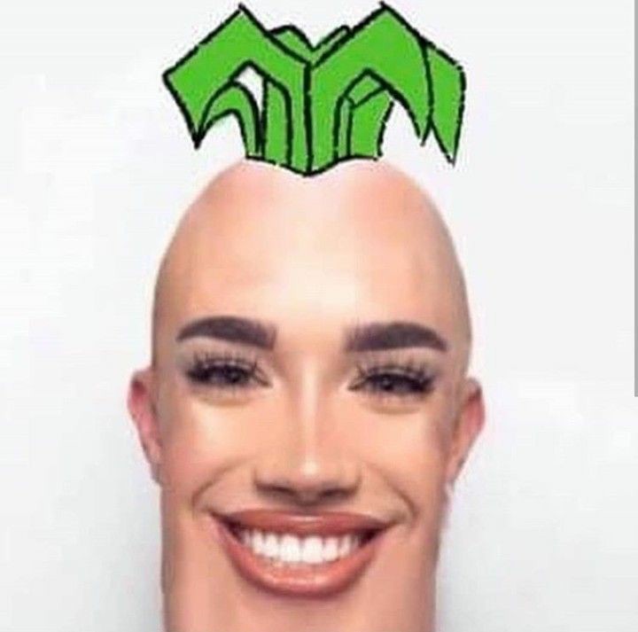 James Charles Roblox Ad